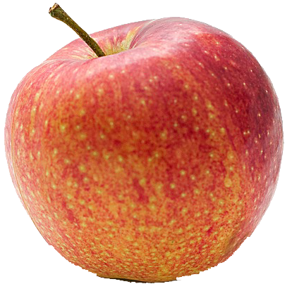 apple for teacher